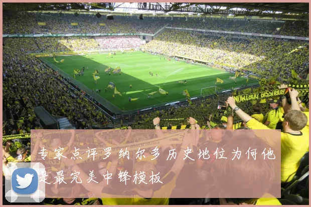 专家点评罗纳尔多历史地位为何他是最完美中锋模板