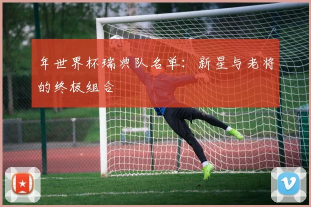 年世界杯瑞典队名单：新星与老将的终极组合